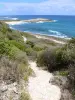 Pointe des Châteaux - Sentier de la pointe des Châteaux avec vue sur la plage de l'anse des Châteaux et l'océan Atlantique