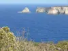 Pointe de la Grande Vigie - Vue sur l'océan Atlantique et les falaises calcaires du nord de la Grande-Terre depuis le sentier aménagé de la pointe de la Grande Vigie