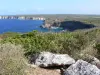 Pointe de la Grande Vigie - Vue sur les falaises calcaires du nord de la Grande-Terre depuis le sentier aménagé de la pointe de la Grande Vigie