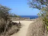Pointe de la Grande Vigie - Sentier aménagé de la pointe de la Grande Vigie avec vue sur l'océan Atlantique