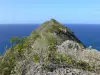 Pointe de la Grande Vigie - Pointe de la Grande Vigie et sa végétation, avec vue sur l'océan Atlantique