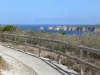 Pointe de la Grande Vigie - Um curso paisagístico na ponta do Grande Vigie, com vista para as falésias calcárias circundantes e a Pointe du Piton