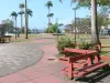 Pointe-a-Pitre - Praça da Vitória com seus bancos e palmeiras reais