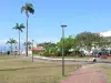 Pointe-a-Pitre - Praça da Vitória com suas palmeiras reais