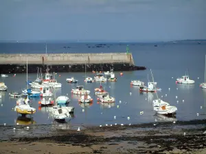 Pointe de Trévignon - Petit port de la pointe de Trévignon avec des bateaux et péniches, mer (océan), côtes en arrière-plan