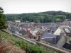 Poix-de-Picardie - Vue sur les toits des maisons de la ville et les arbres