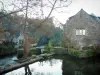 Pont-Aven - Arbre et belle maison en pierre donnant sur la rivière Aven