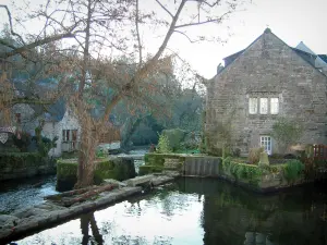 Pont-Aven - Albero e bella casa in pietra con vista sul fiume Aven