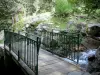 Pont d'Espagne - Site naturel du pont d'Espagne : petite passerelle enjambant le gave (cours d'eau), rochers et arbres ; dans le Parc National des Pyrénées, sur la commune de Cauterets