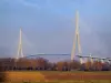 Pont de Normandie - Pont à haubans, arbres et champ