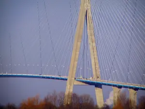 Pont de Normandie - Partie du pont à haubans et arbres