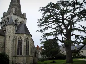 Pontlevoy - Abbey en bomen