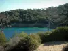 Porquerolles岛 - 地中海植被，路径，地中海和森林