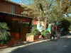 Porquerolles岛 - Porquerolles村庄的街道有房子，餐馆和树的