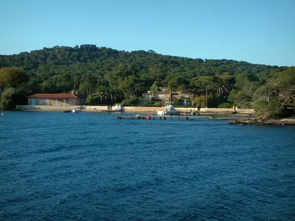 Porquerolles island - The Mediterranean Sea, pontoons, houses in the village of Porquerolles and the forest of the island