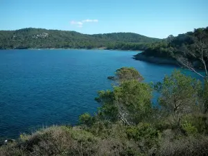 Porquerolles island - Mediterranean vegetation, the Mediterranean Sea, wild coasts and forests