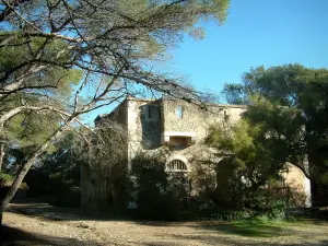 Porquerolles island - The Bon Renaud fort and trees
