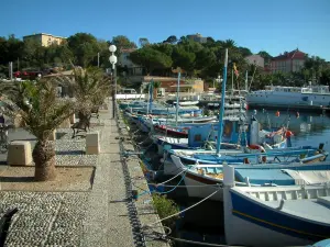 Porquerolles island - Port with its colourful fishing boats, quay featuring palm trees and houses in the village of Porquerolles in background