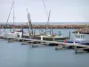 Port-Barcarès - Bateaux amarrés