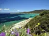 Port-Cros国家公园 - 旅游、度假及周末游指南瓦尔省