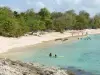 Port-Louis - Anse du Souffleur, sur l'île de la Grande-Terre : plage de sable du Souffleur, baigneurs dans la mer et arbres