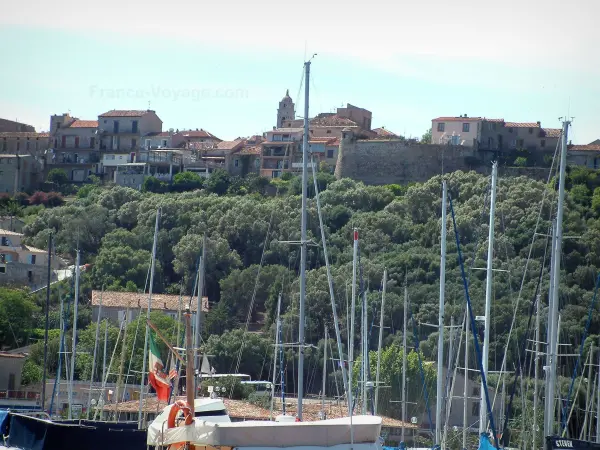 Porto-Vecchio - Altstadt umgeben mit Bäumen, überragt die Segelboote des Segel- und Jachthafen