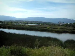 Porto-Vecchio - Fluss gesäumt mit Schilf, hoch liegende Altstadt und Hügel im Hintergrund