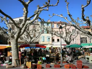 Prades - Markt onder de bomen in plaats van de kerk en de gevels van de stad