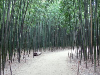 Photos Prafrance Bamboo Garden Tourism Holiday Guide
