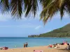 Praia Grande Anse - Relaxe nas areias douradas da praia com vista para o Mar do Caribe, folhas de palmeira em primeiro plano
