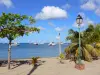 Praia Grande Anse d'Arlet - Praia com um poste de luz e plantas, com vista para a baía pontilhada com barcos