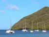 Praia Grande Anse d'Arlet - Vista, de, barcos velejando, e, catamarans, flutuante, ligado, a, mar