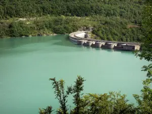 Presa de Vouglans - Dam, Lake Vouglans (depósito de agua artificial) y los árboles en la orilla