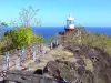 Presqu'île de la Caravelle - Réserve naturelle de la Caravelle - Parc Naturel Régional de la Martinique : phare de la Caravelle avec vue sur l'océan Atlantique