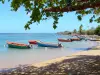 Presqu'île de la Caravelle - Baie de Tartane avec ses petits bateaux de pêche colorés