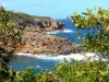 Presqu'île de la Caravelle - Réserve naturelle de la Caravelle : côte sauvage