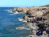 Presqu'île de la Caravelle - Réserve naturelle de la Caravelle : côte rocheuse et océan Atlantique