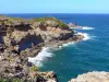 Presqu'île de la Caravelle - Réserve naturelle de la Caravelle : côte sauvage et océan Atlantique