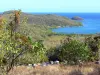 Presqu'île de la Caravelle - Réserve naturelle de la Caravelle : paysage côtier de la presqu'île