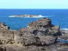 Presqu'île de la Caravelle - Réserve naturelle de la Caravelle : côte rocheuse et océan Atlantique