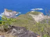 Presqu'île de la Caravelle - Réserve naturelle de la Caravelle : vue sur la station météo de la Caravelle, la Table du Diable, l'îlet Lapin et l'océan Atlantique