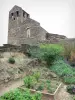 Prieuré de Serrabone - Prieuré Sainte-Marie de Serrabona : jardin botanique au pied de l'église