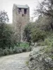 Prieuré de Serrabone - Prieuré Sainte-Marie de Serrabona : tour-clocher de l'église entourée de verdure
