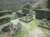 Prieuré de Serrabone - Jardin botanique dans un cadre de verdure