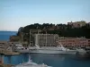 Principauté de Monaco - Vue sur le Rocher de Monaco et sur le port en contrebas avec ses bateaux et un grand yacht, mer