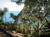 Prinsdom van Monaco - Exotische planten, cactussen, bomen en zee op de achtergrond