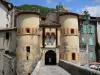 Gids van Provence-Alpes-Cote d'Azur - Entrevaux - Royal poort en ophaalbrug, middeleeuwse huizen in het dorp en de citadel met uitzicht op de hele