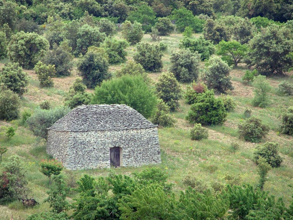 Guide de Provence-Alpes-Côte d'Azur - Luberon - Cabane en pierre sèche (borie) entourée d'arbres