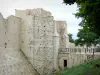 Províncias - Porte Saint-Jean (portão fortificado, fortificação medieval)