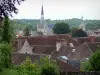 Provins - Blick auf die Dächer der Stadt, die Bäume, den Glockenturm der Kirche Sainte-Croix (links) und den Turm Notre-Dame-du-Val (Überrest der ehemaligen Stiftskirche Notre-Dame)